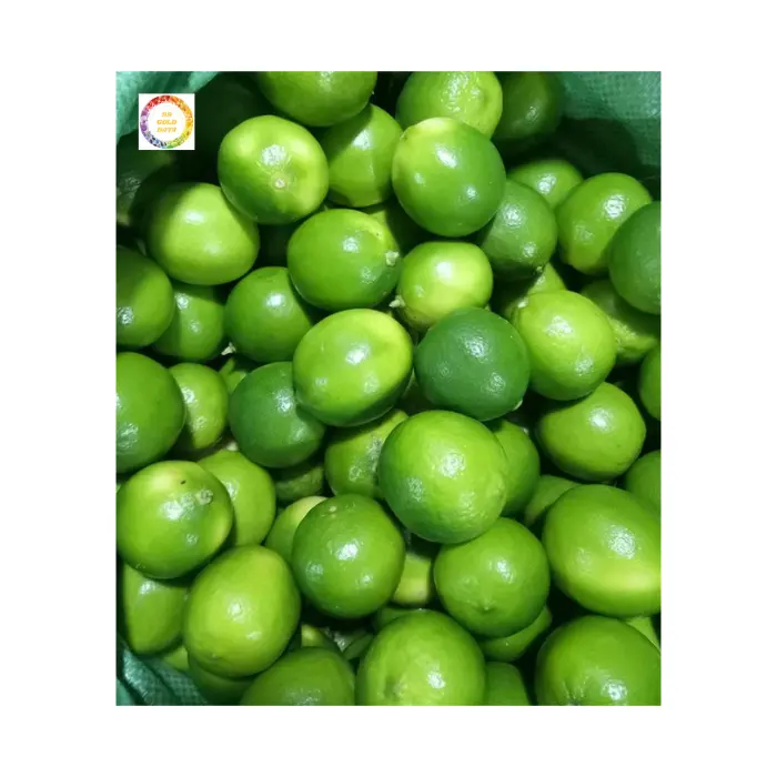 FAST DELIVERY 100% FRESH SEEDLESS LIME for Drinking Made in VIET NAM with Competitive Price for Buyer
