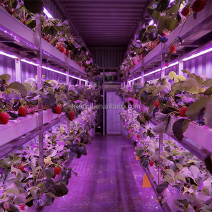 Système de culture verticale hydroponique pour fraises en conteneur, équipement d'agriculture intelligente pour la culture commerciale de fraises - Product Image 5