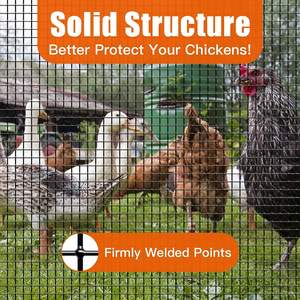 Rollo de malla soldada galvanizada <span class=keywords><strong>para</strong></span> valla de <span class=keywords><strong>alambre</strong></span> de pollo con revestimiento de vinilo negro - Product Image 3