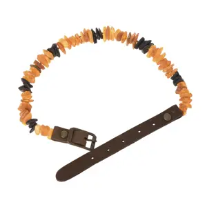 Raw Baltic Amber pet collar, Chip Amber dog Collar, Various sizes Adjustable leather strap dog Leash, Organic Pet Collar