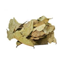 Hemat besar untuk Soursop organik