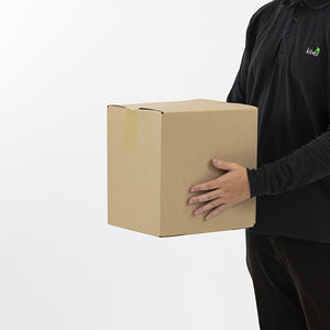 Cajas Reciclables de Cartón Rígido de Pared Simple en Forma de Avión 305x229x305 mm - Product Image 2