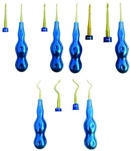 Hot Selling <b>Dental</b> Elevator Set Black Gold Stainless Steel Luxating & Serrated <b>Dental</b> Root Elevators for Tooth Extraction - Product Image 5
