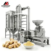 Broyeur à broches industriel pour poudre de sel fine et sèche, équipement de broyage en acier inoxydable pour la production de poudre