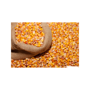Maïs jaune maïs-Vente en gros de maïs jaune doux français pour l'alimentation animale | Grains de maïs séchés en gros - Product Image 1
