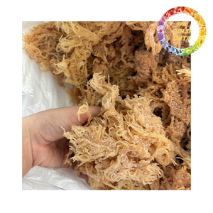 Sun-<b>dried</b> Natural <b>Dried</b> Sea <b>Moss</b> | Delicious Seaweed From Viet Nam /High Quality Irish Sea <b>Moss</b> - Product Image 4