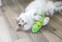 Jouet en peluche pour chat en forme de coque de pois avec herbe à chat, billes de pois amovibles et queue à plumes, jouet interactif à mâcher pour usage quotidien pour chatons