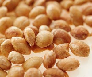 Proveedor de frutos secos de Sacha Inchi premium más vendido, aperitivos veganos saludables a granel - Product Image 1