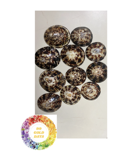 Conchas marinas de Lapa pulidas inspiradas en el océano: elegantes detalles para bodas y ocasiones especiales. - Product Image 3