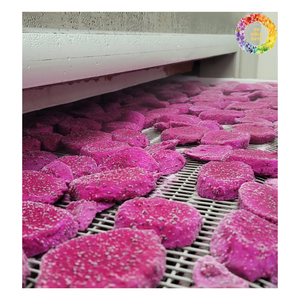 Cubes de fruits du dragon congelés/purée/forme entière, pitaya rouge et blanc IQF, fruit du dragon congelé, fruit du dragon congelé Offres Spéciales - Product Image 2