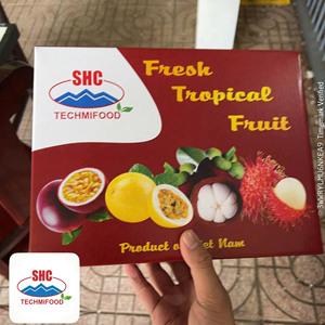 Longan Fresco de Vietnam, Calidad de Exportación con Piel Limpia y Textura Firme, Perfecto para Cadenas de Tiendas y Importadores - Product Image 1