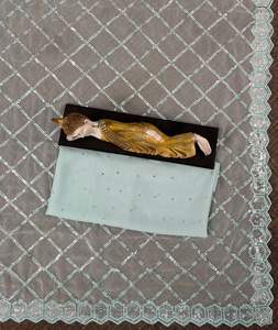 Sari de Primera Calidad, Alta Demanda, Precio de Fábrica, para Fiestas y Bodas, Disponible a un Precio Accesible, desde India - Product Image 3