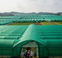 Rumah jaring plastik pertanian buatan India untuk pembacaan yang ditingkatkan dan visibilitas mesin pencarian yang ditingkatkan