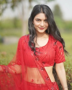 Lehenga choli-Blusa de red con bordado para novia, blusa de trabajo con diseño de mariposa pesada, diseño elegante, secuencia dori, 2022 - Product Image 5