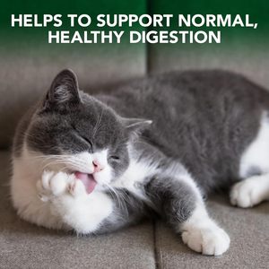 Fromage à mâcher multi-vitamines, croquant et crémeux pour chat-Soutient l'énergie, la peau et le pelage - Product Image 2