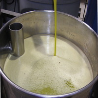 Juego de tres botellas de aceite de oliva virgen, 500ml, verde claro, para vestidor de cocina y servicios de alimentos
