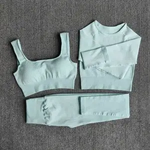 Women Sportswear Yoga Set Workout Clothes Athletic Gym Wear Sports Leggings Bra top Sale Factory price new design