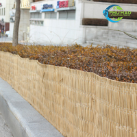 Tapis de carex fabriqué à partir du Vietnam Produit agricole fabriqué à partir de l'usine du Vietnam avec un bon prix