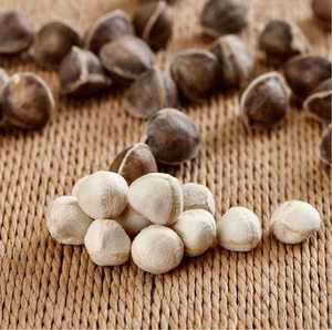 Graines de Moringa séchées (graines de Moringa oleifera) à vendre - Product Image 1