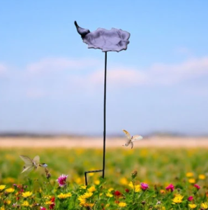 Comedero de pájaros de metal con forma de flor de latón AK en artículo acabado en negro de alta calidad al mejor precio para la decoración interior del parque - Product Image 1