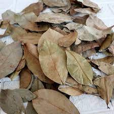 ทุเรียนเทศแห้งบริสุทธิ์และออร์แกนิกใบ/ใบกราวิโอลา/ชาทุเรียนเทศในราคาที่ดีที่สุด - Product Image 3