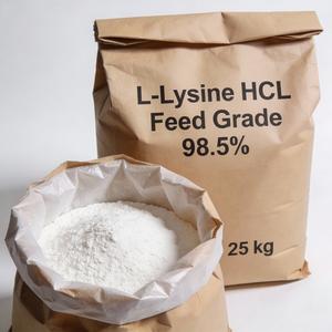 Lisina en polvo para alimento animal, bolsas de 25 kg - Product Image 5
