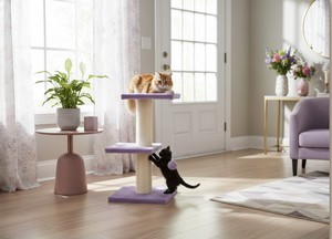 Siricat Deluxe สำหรับแมวและลูกแมวทุกสายพันธุ์และทุกขนาด - Product Image 4