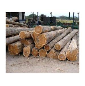 Troncos de madera Sapele al por mayor para madera, varias dimensiones - Product Image 2