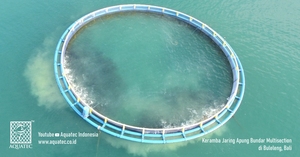 Jaula redonda AQT de HDPE de la MEJOR CALIDAD, diámetro de 10m a 50m, para piscicultura, con una vida útil de más de 20 años con mantenimiento regular. - Product Image 5