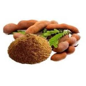 तमिंदर का अभियोग निकालने (अमली) प्रीमियम संयंत्र - Product Image 4