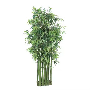 FEUILLES DE BAMBOU TERREUSES ET APAISANTES/SOURCE LOCALE/ECO-SMART CHOIX/FABRIQUÉ AU VIETNAM - Product Image 6