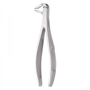 ENGLISH PATTERN FORCEPS - Product Image 5