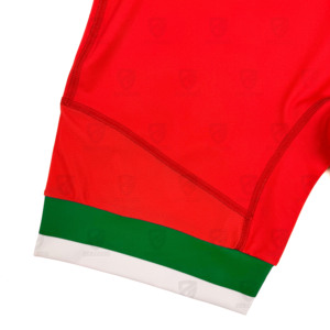 Uniforme de musculation sur mesure, vente en gros d'usine, uniforme de musculation professionnel de haute qualité, justaucorps de lutte pour hommes - Product Image 6