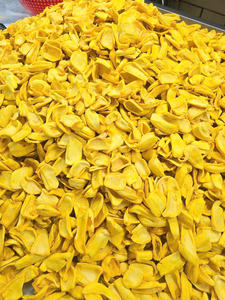 Jackfruit Deshidratada de Estilo Natural, Apta para Productos de Aperitivo, Uso como Cobertura y Aplicaciones en la Elaboración de Alimentos - Product Image 4