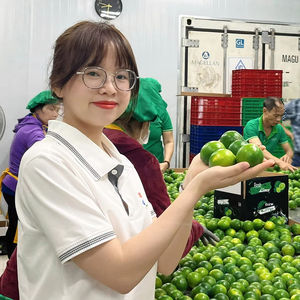 Citrons sans pépins de haute qualité Agrumes frais parfaits pour le marché de Singapour - Product Image 1