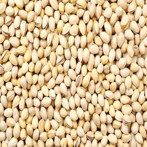 Pistachos Crudos Deshidratados de Alta Calidad, Producto Natural Orgánico con Sabor Rico - Product Image 6
