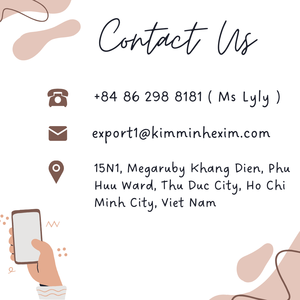 Chips de Jackfruit Naturelles et Croustillantes _ Snack Tropical pour Acheteurs B2B - Product Image 5