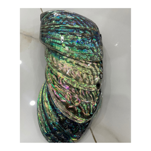 Top-Rated <b>Abalone</b> <b>Shell</b> Gemstones for Festive Vibes <b>Abalone</b> <b>Shell</b> Crystals - A Touch of Oceanic Elegance - Product Image 6