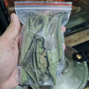 Feuilles de goyave séchées d'origine vietnamienne, tisane pour le soutien de la glycémie - Product Image 4