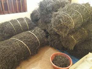 เจลลี่หญ้าแห้งสีดำจากเวียดนาม Nam-ms.jennie - Product Image 6