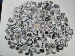 Gemas de ópalo de dendito turco Natural, cabujón suelto, joyería, piedra, taxi, 1 kg, venta al por mayor - Product Image 3