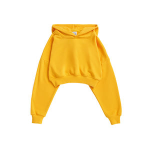 Sudadera con capucha personalizada para mujer, ropa de calle, sudadera recortada con logotipo bordado para yoga, gimnasio y trotar en invierno - Product Image 4