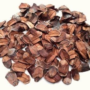 100% déchets agricoles en vrac de coquille naturelle pure de noyau de palme pour l'exportation dans le monde entier disponible à des prix compétitifs - Product Image 4