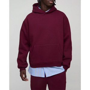 Sweats à capuche pour hommes personnalisés 100% coton Sweats à capuche vierges lourds Fabricant de vêtements pour hommes 2025 - Product Image 4