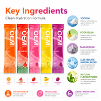 Sachets de boisson en poudre d'électrolyte personnalisés supplément d'énergie d'hydratation marque privée OEM ODM approvisionnement d'usine