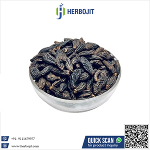 สมุนไพรสดธรรมชาติแท้ 100% คุณภาพสูง ทีมินทัลเรีย เชบูลา (บาลฮีร์ดา/ฮิมัจ) อินเดียนกูสเบอร์รี่ บรรจุ 25 กก. เฮอร์โบจิต - Product Image 6