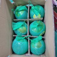Verse groene pomelo uit Vietnam, zoete, sappige grapefruit met roze vruchtvlees, premium exportkwaliteit citrusvrucht, 60-90 dagen houdbaarheid