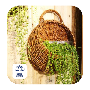 Panier mural rond en osier GEM, panier à fleurs en osier, pochette en osier - Product Image 4