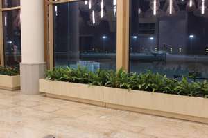 Jardinière boughpot élégante classique ronde et légère en FRP avec finition brillante lisse de couleur personnalisée pour le jardin, la maison et l'hôtel - Product Image 4