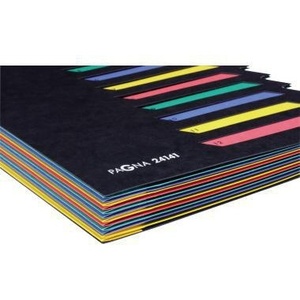 PAGNA Classic DIN <b>A4</b> Pressboard File <b>Folder</b> Black 12-Compartment Multicolored Block - Product Image 1